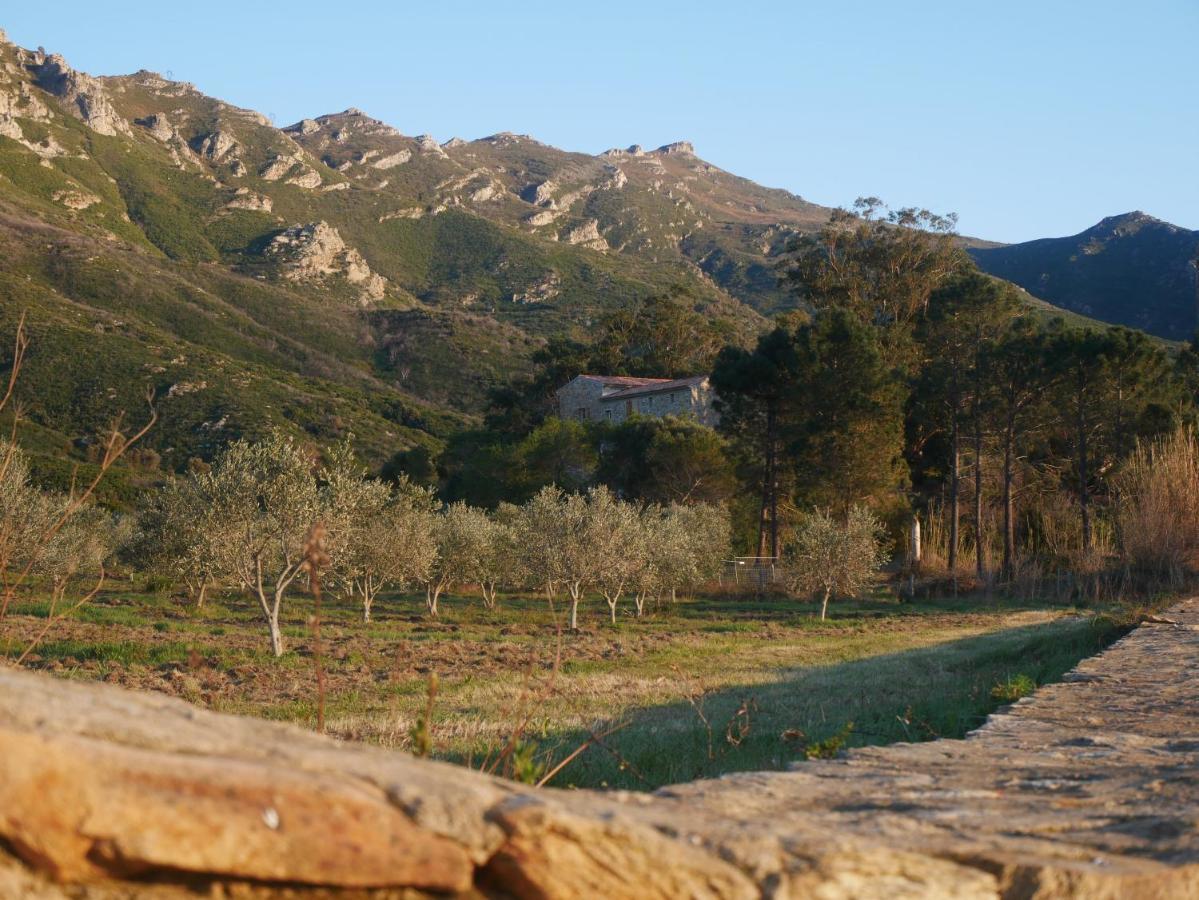 Mulinu Biancu Hotel Poggio-d'Oletta ภายนอก รูปภาพ