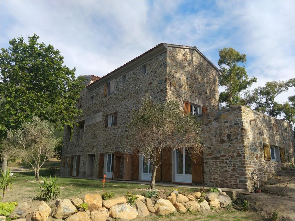 Mulinu Biancu Hotel Poggio-d'Oletta ภายนอก รูปภาพ
