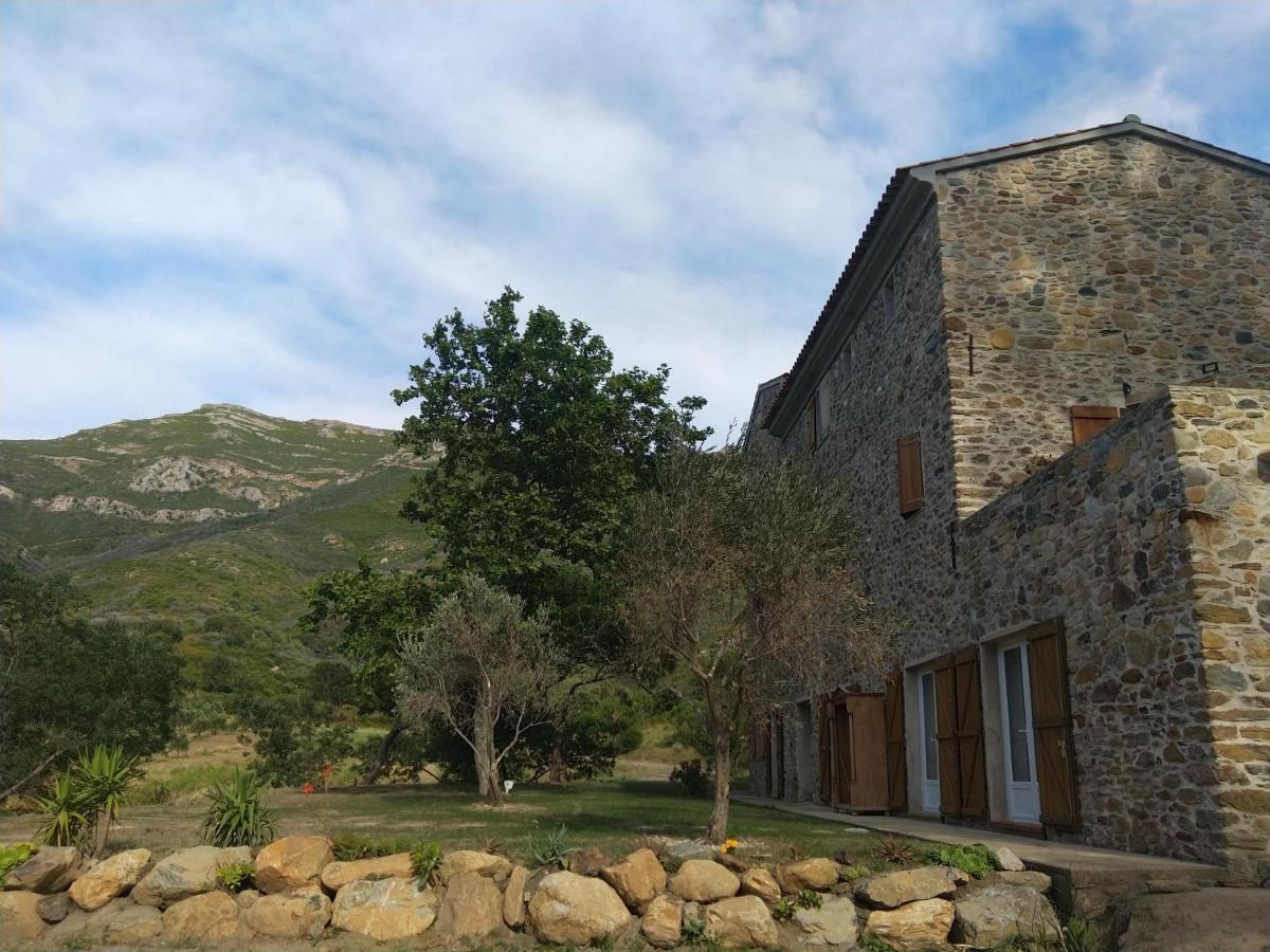 Mulinu Biancu Hotel Poggio-d'Oletta ภายนอก รูปภาพ