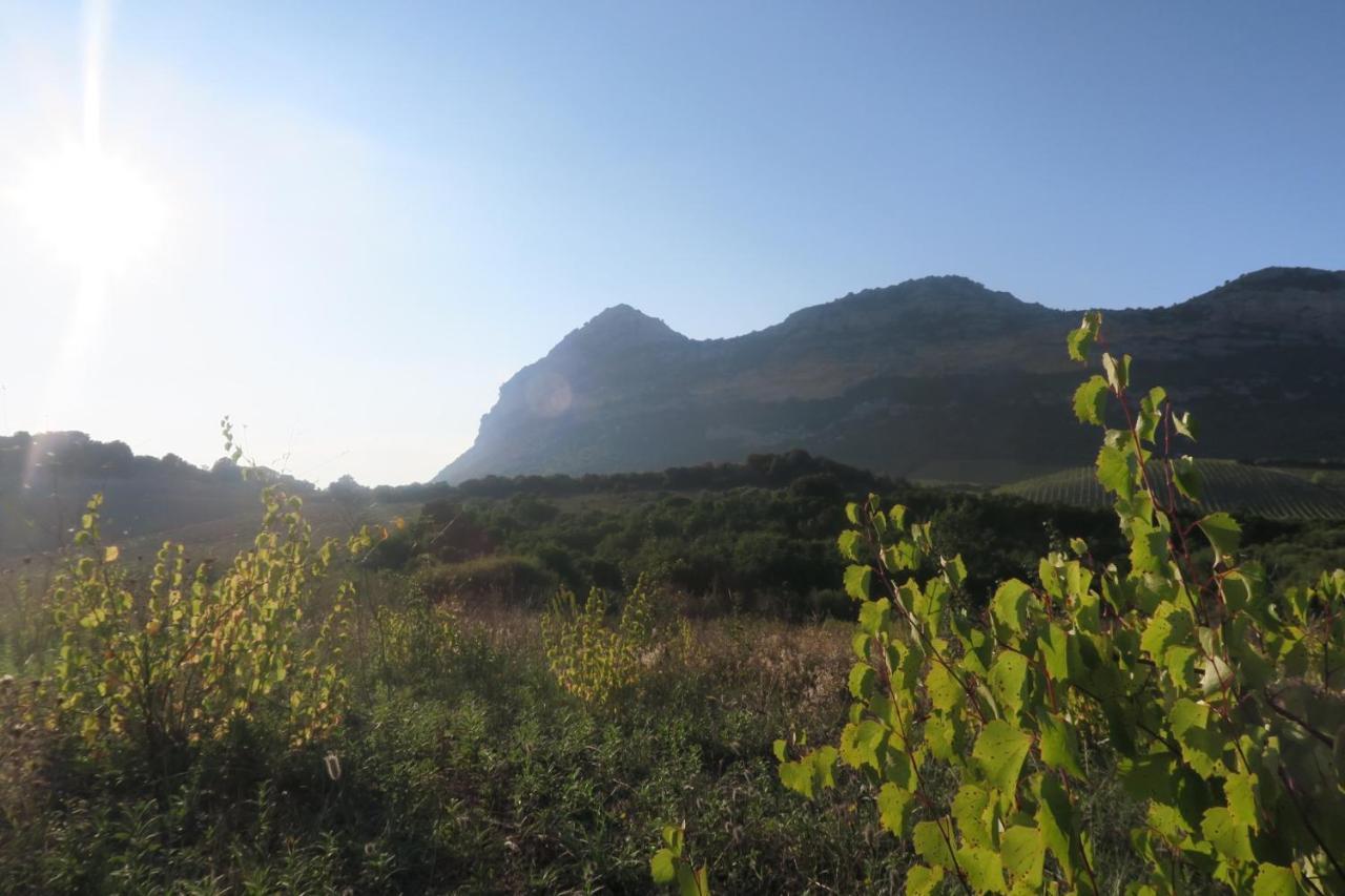Mulinu Biancu Hotel Poggio-d'Oletta ภายนอก รูปภาพ